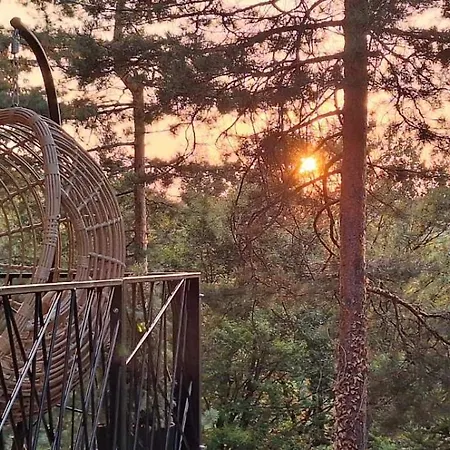 Pine * Lukavac (Tuzla)